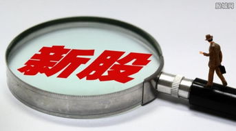 7只新股今日聯(lián)袂上市，盛天網(wǎng)絡(luò)領(lǐng)銜互聯(lián)網(wǎng)游戲服務(wù)板塊大漲44%遭臨停